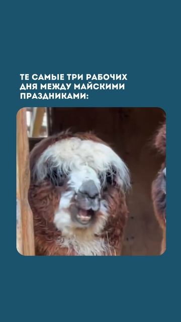 Первая международная кибершкола для детей #ITшкола #детскоеобразование #lTобучение
