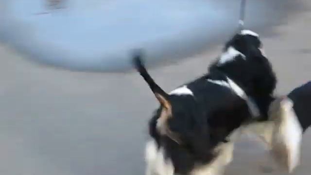 15.10.2011, Орша - КАМИЛА АЙРЭН смотреть онлайн