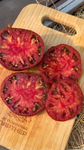 🍅 Полосатый шоколад — изысканно вкусный томат! #SemenaPar