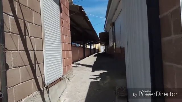 ☀️Гостиница "Орхидея"/ Крым/ Севастополь/ п.Николаевка/ рынок около автовокзала /день 6