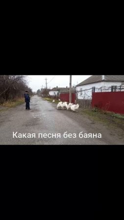 Какая песня без баяна