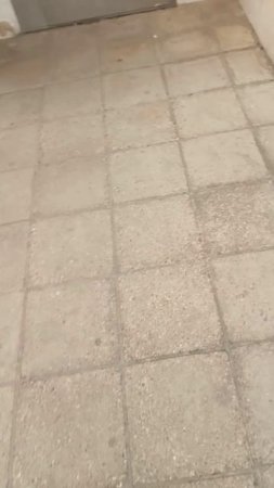 Город засыпало пеплом, вокруг горят поля.
