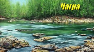 Чагра