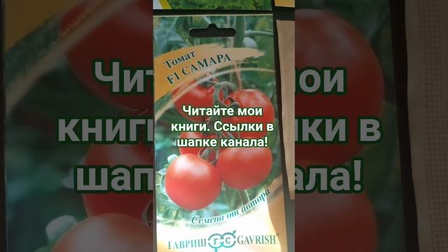 Мои томаты для дачи и огорода на подоконнике! #garden #огороднаподоконнике