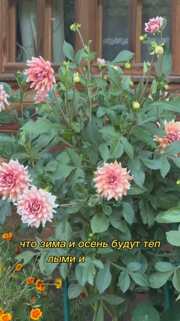 Погода и приметы на 2 сентября 2024 г. смотреть онлайн