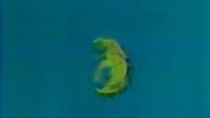 Preview 2 Спокойной Hочи Mалыши D'n'B Remix V6