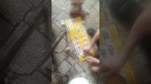 ОбЗоР