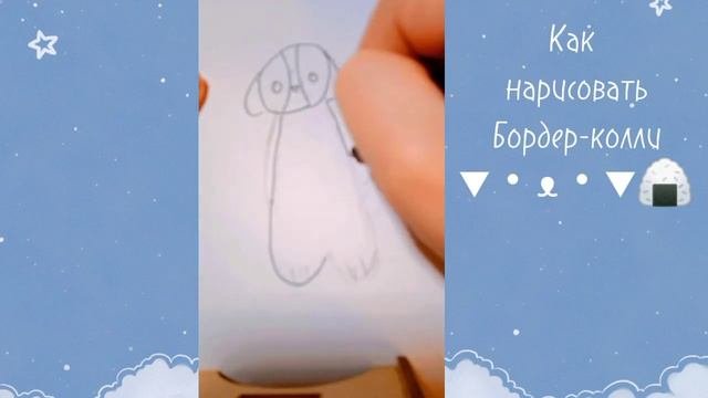 Как нарисовать милую собаку бордер- колли! ❄V●ω●V