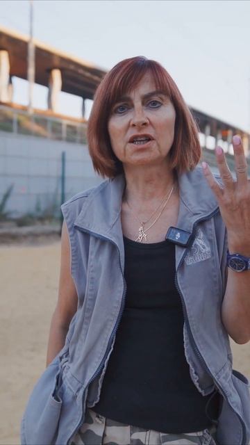 Выстраивание отношение с щенком от Спиридоновой Натальи #shorts #воспитаниещенка #собакаест #щенок смотреть онлайн