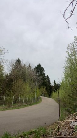 Бегаю