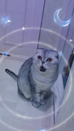 Кофеин