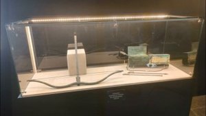 Терракотовая армия выставка на ВДНХ Москва Россия + бонус: Бэнкси, Terracotta Army Exhibition Russia