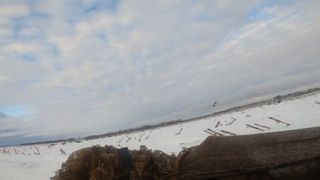 Гусь 2025.Охота на гуся 2025.Встреча с друзьями на Гусинои? смотреть онлайн