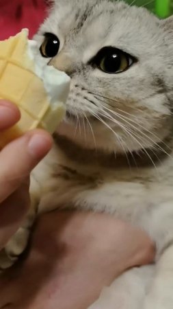 пришла с работы злая 😠
