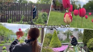 Дачный влог №17 🍓 Покупки из Fix Prace | Посадка голубики