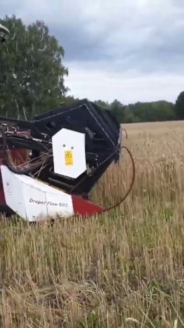 Косилка самоходная универсальная КСУ-1 в работе на кос смотреть онлайн