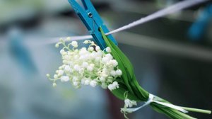 Истории из жизни - Тайна бабушки Маши: Мистическое видение, предсказавшее судьбу человека...
