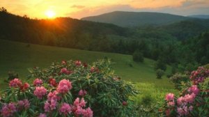 Умейте жить!  (Сл. Людмила Тимохина-Лагуточкина). Видео Татьяны Н.