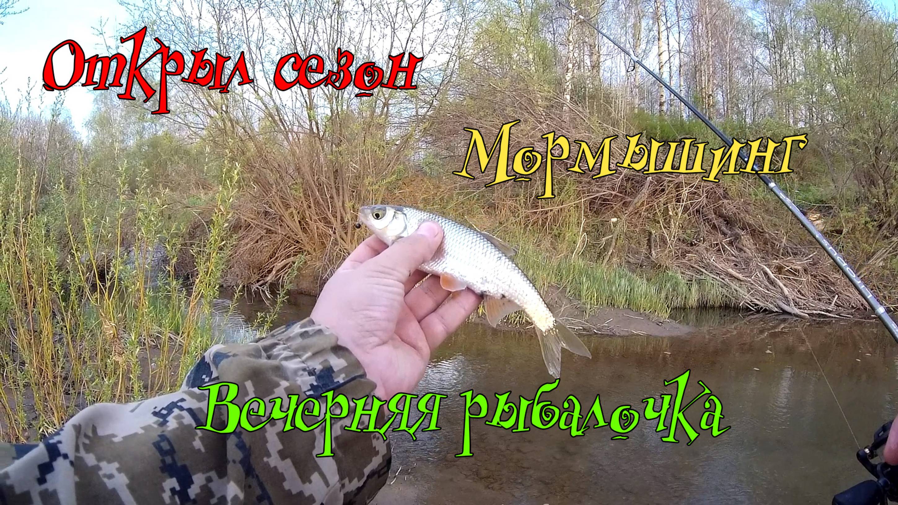 Открыл сезон вечерняя рыбалочка на мормышинг.