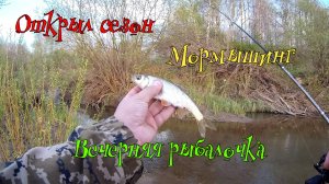 Открыл сезон, вечерняя рыбалочка на мормышинг.
