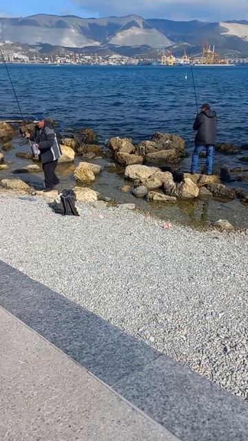 Рыбалка в МОРЕ. НОВОРОССИЙСК #осень2024 #черноеморе #кра? смотреть онлайн