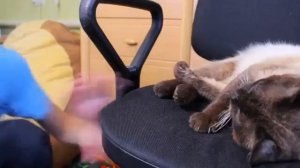 КОРОЧЕ ГОВОРЯ, Я СОБРАЛ ЛЕГО