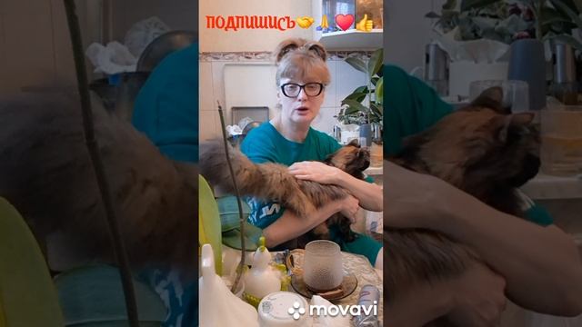 1000004968.mp4. 🔥МОЁ СОЛНЫШКО🌞🔥🚀🖋️🚀🖋️🚀🖋️🚀