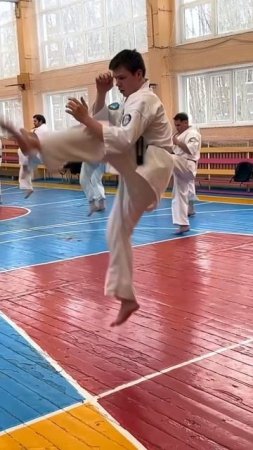 Кёкусинкай / Каратэ Мурманск / Сборы под руководством Шихана Моторичева А.Ю. (26.04.25 г.) #21