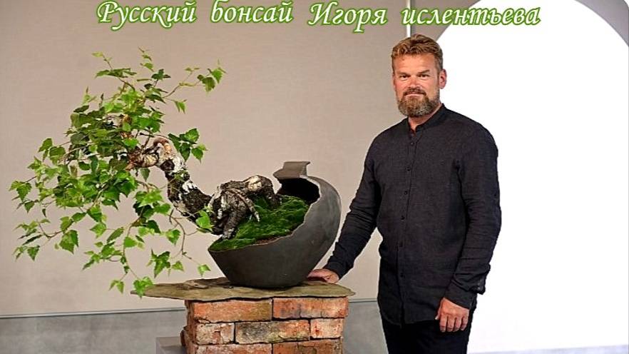 Авторская выставка Игоря Ислентьева _Русский бонсай на фестивале азиатской культуры.
