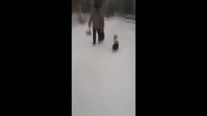 Приколы с алкашами РЖАКА ДО СЛЕЗ СМОТРЕТЬ !!!!!