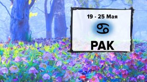 РАК ♋ 19 - 25 Мая 2025 | Расклад таро на неделю для знака Зодиака Рак
