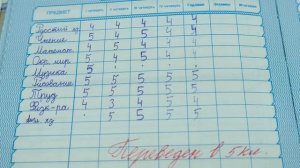 НАШЕЛ СВОИ СТАРЫЕ ШКОЛЬНЫЕ ДНЕВНИКИ