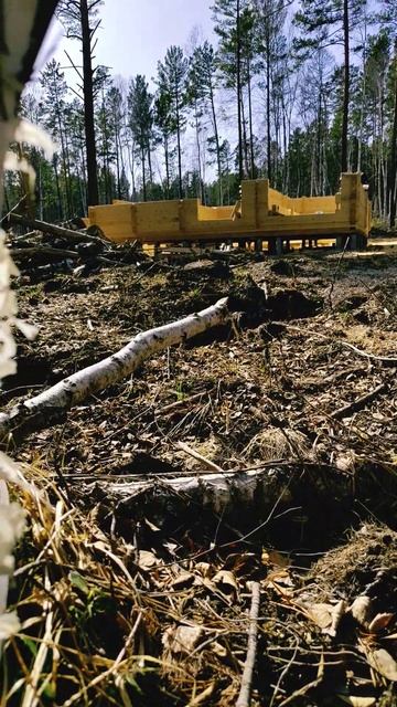 Берёзовый сок спасает от жажды смотреть онлайн