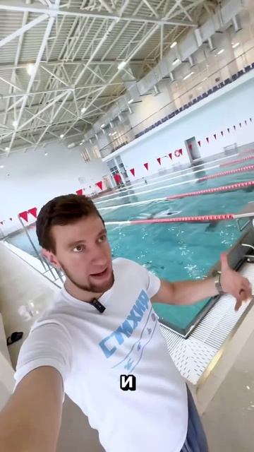 Рассказываю в чем секрет успеха 🤫 #обучение #спорт #пл смотреть онлайн