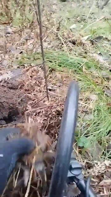 Поиск монет на старинном пруду часть 12 /// X-Terra 705 #топ #т? смотреть онлайн