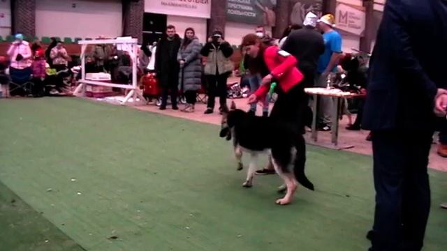 Мейса смотреть онлайн