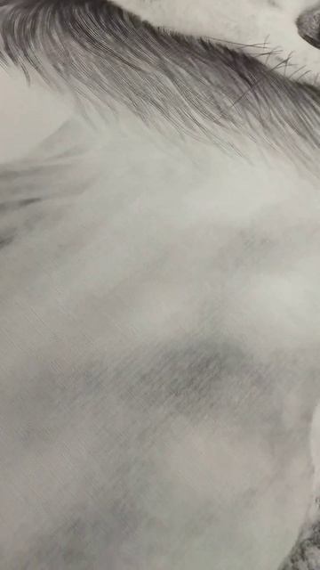 Фотообои GrandPik 5033 "Волки" смотреть онлайн