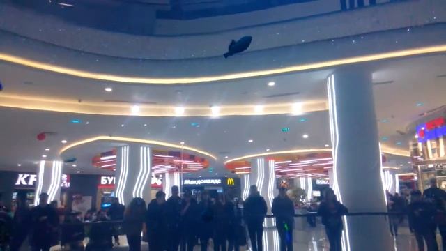 Лифт сквозь аквариум смотреть онлайн