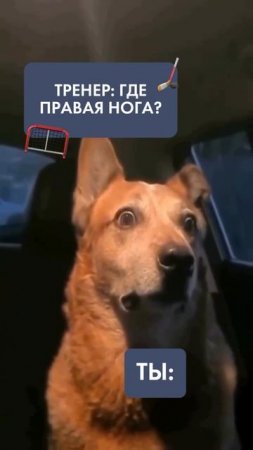 5943208164993360688