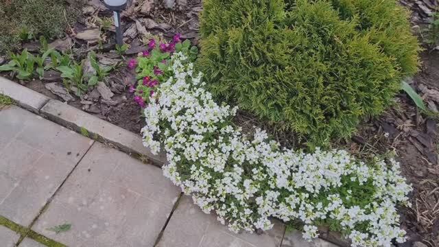 ЦВЕТЕНИЕ ВЕСЕННЕГО САДА!🌷 НОВЫЙ СВЕТИЛЬНИК. ОБЗОР ТЕПЛИЦЫ.