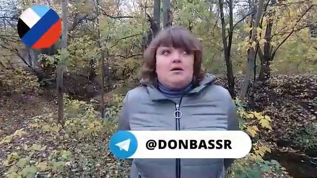 Бизоны в 