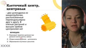 Клеточный центр #егэ #биология #клетка #биологияегэ #би