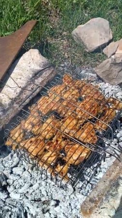 Сезон шашлыков открыт.