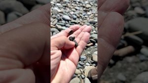 секретный минерал на побережье Чёрного моря
