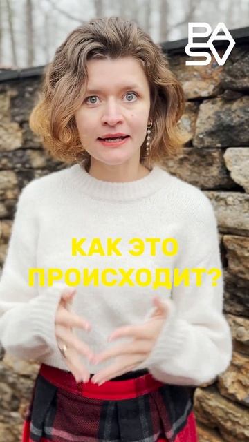 Full stack разработчик с нуля до ПЕРВОЙ РАБОТЫ В АМЕРИКЕ