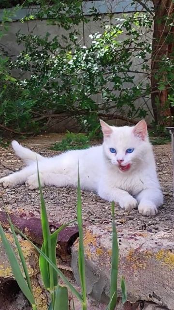 Пода🎁рок самому активному гостю #automobile#car#fishing#nature#рыб смотреть онлайн