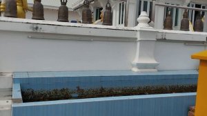 Тайланд без вас! Неожиданный Кхонкэн – тайный уголок,