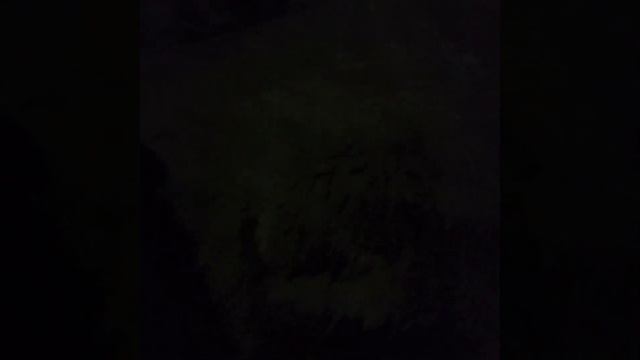 13 апреля 2021 г. смотреть онлайн