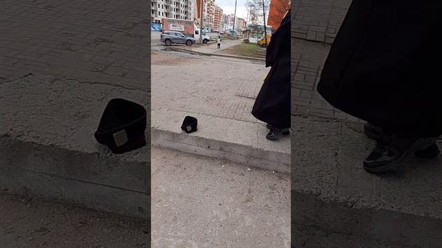 шизанутый гарипотер