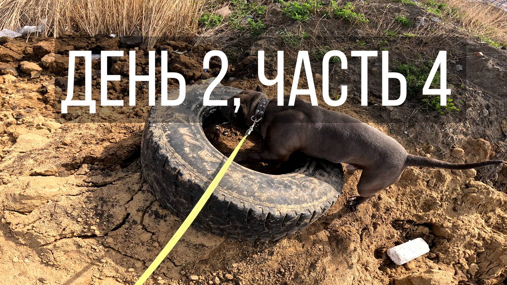 День 2, часть 4